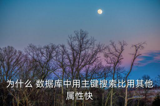 為什么 數(shù)據(jù)庫中用主鍵搜索比用其他屬性快