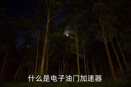 什么是電子油門加速器