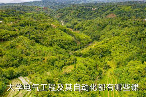 大學電氣工程及其自動化都有哪些課
