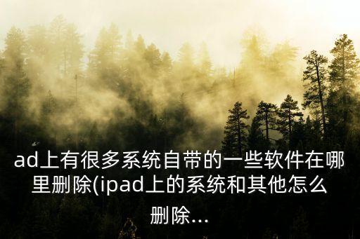 ipad刪除軟件數(shù)據(jù),iPad如何刪除軟件數(shù)據(jù)?