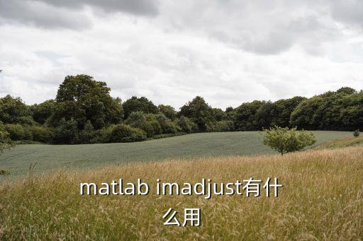 imadjust，matlab圖像調(diào)整