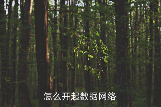 怎么開起數(shù)據(jù)網(wǎng)絡(luò)