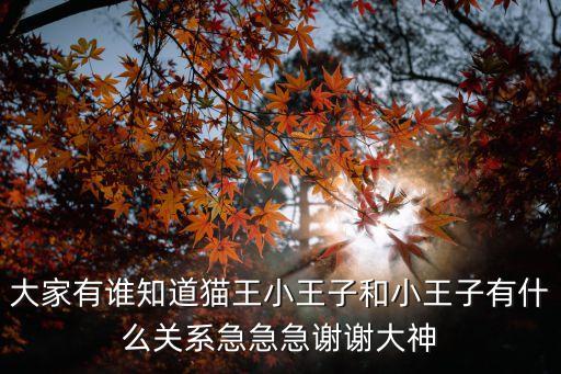 大家有誰知道貓王小王子和小王子有什么關(guān)系急急急謝謝大神