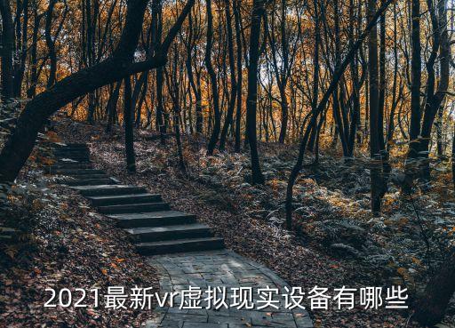 2021最新vr虛擬現(xiàn)實(shí)設(shè)備有哪些