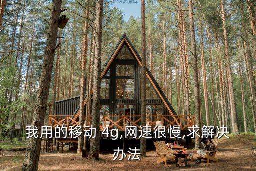 移動(dòng)數(shù)據(jù)4g網(wǎng)速慢怎么辦,vivo移動(dòng)4g網(wǎng)速慢怎樣解決