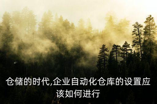 倉儲(chǔ)的時(shí)代,企業(yè)自動(dòng)化倉庫的設(shè)置應(yīng)該如何進(jìn)行