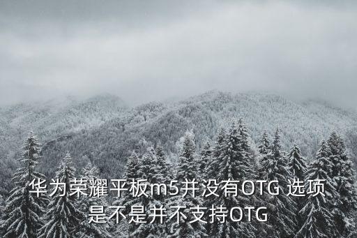 華為榮耀平板m5并沒有OTG 選項(xiàng)是不是并不支持OTG
