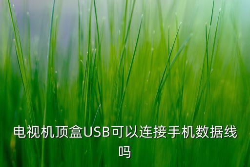 電視機頂盒USB可以連接手機數據線嗎