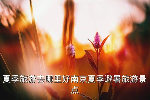 南京群奕自動化設備,程群南靖自動化設備有限公司
