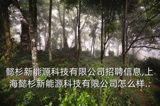 懿杉新能源科技有限公司招聘信息,上海懿杉新能源科技有限公司怎么樣...