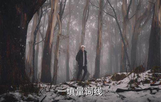 一填量詞線