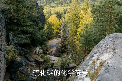 硫化碳的化學(xué)符號(hào)