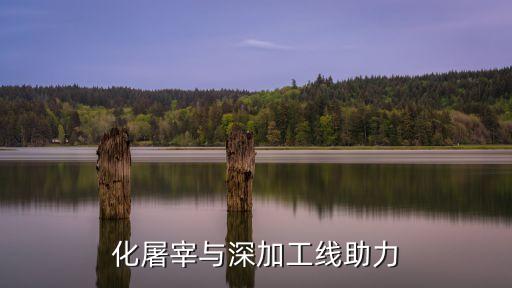 化屠宰與深加工線助力