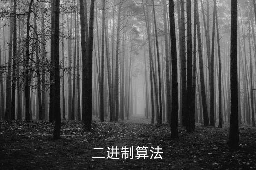 二進(jìn)制算法