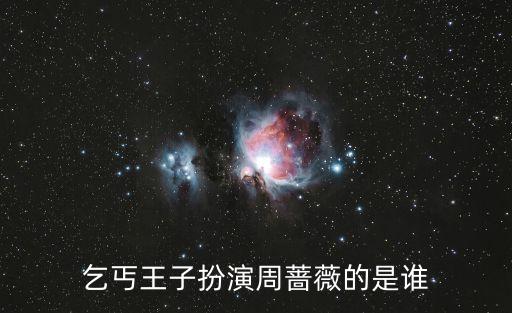 乞丐王子扮演周薔薇的是誰(shuí)