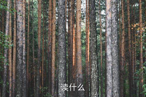 讀什么