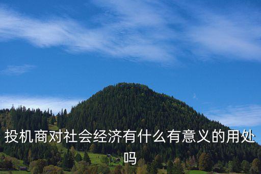 投機商對社會經濟有什么有意義的用處嗎