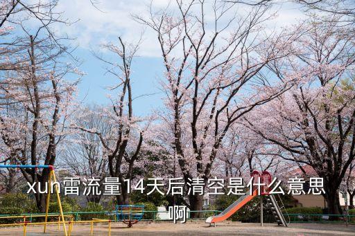 xun雷流量14天后清空是什么意思啊