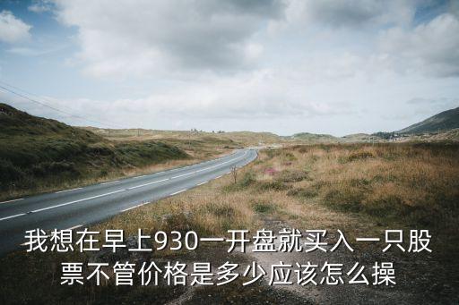 華是科技怎么自動買入，怎樣設(shè)置自動顯示買入股票的代碼和可買數(shù)量