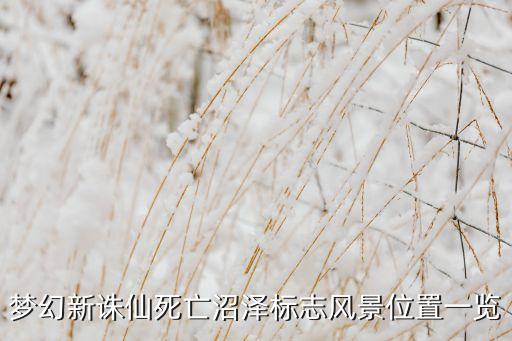 夢(mèng)幻新誅仙死亡沼澤標(biāo)志風(fēng)景位置一覽