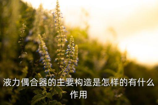 偶合器，偶合器是什么東西她有什么用途
