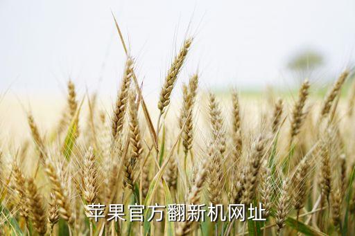蘋果官方翻新機(jī)網(wǎng)址