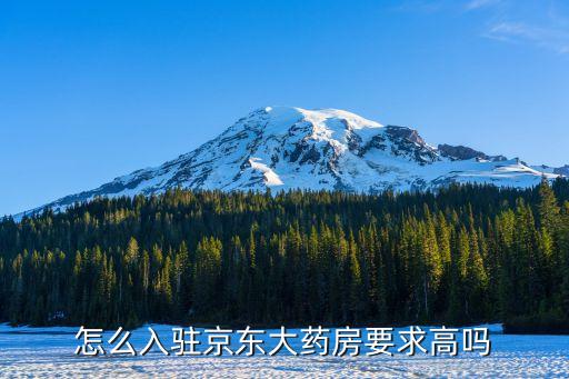 怎么入駐京東大藥房要求高嗎