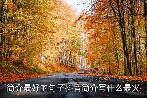 簡介最好的句子抖音簡介寫什么最火