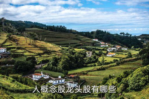 人概念股龍頭股有哪些