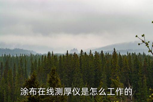 涂布在線測(cè)厚儀是怎么工作的