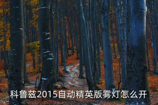 科魯茲2015自動(dòng)精英版霧燈怎么開