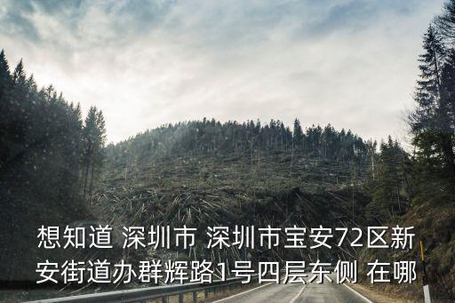 福米科技，想知道 深圳市 深圳市寶安72區(qū)新安街道辦群輝路1號四層?xùn)|側(cè) 在哪