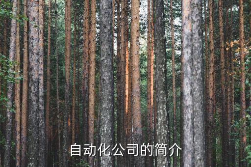 自動化公司的簡介
