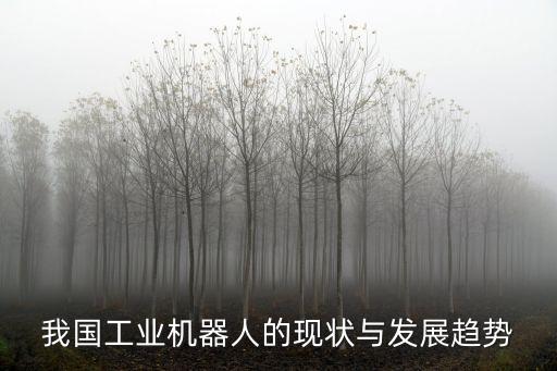 我國工業(yè)機(jī)器人的現(xiàn)狀與發(fā)展趨勢