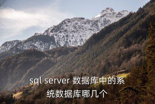系統(tǒng)數(shù)據(jù)庫(kù)，數(shù)據(jù)庫(kù)系統(tǒng)DBS有哪些部分組成