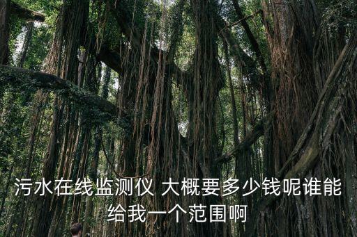 在線監(jiān)測(cè)設(shè)備，污染源在線自動(dòng)監(jiān)測(cè)設(shè)備使用年限