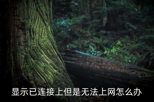 顯示已連接上但是無法上網(wǎng)怎么辦