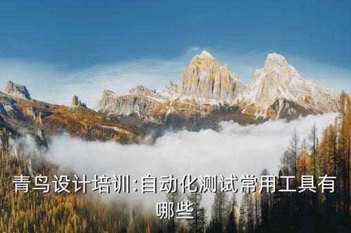 互聯(lián)網(wǎng)公司自動(dòng)化培訓(xùn),自動(dòng)化能進(jìn)互聯(lián)網(wǎng)公司嗎?