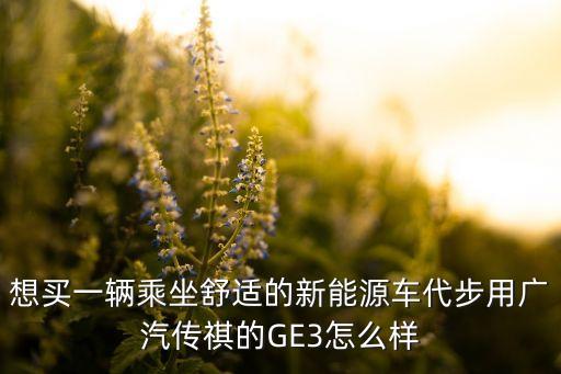 想買一輛乘坐舒適的新能源車代步用廣汽傳祺的GE3怎么樣