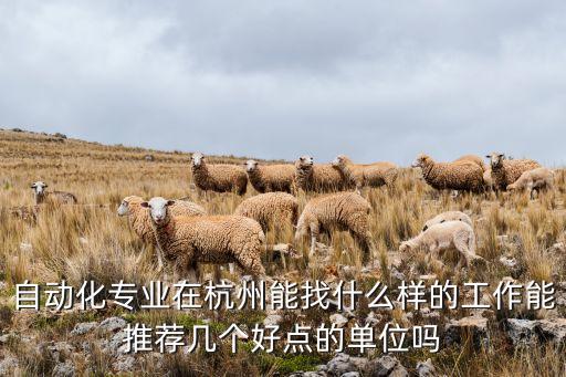 自動(dòng)化專業(yè)在杭州能找什么樣的工作能推薦幾個(gè)好點(diǎn)的單位嗎