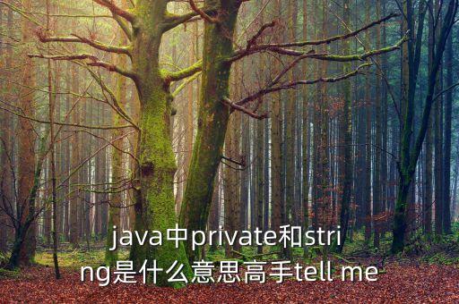 string什么意思，VB中single IntegerSplitString等術(shù)語(yǔ)是什么意思具體用途是什么