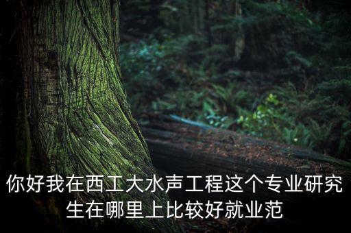 水聲工程專業(yè)，水聲工程專業(yè)的女博士好找工作嗎