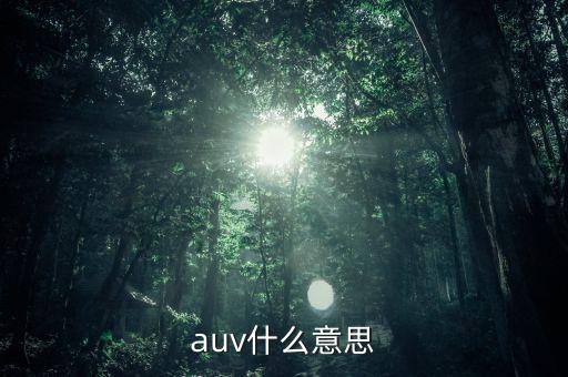 auv什么意思