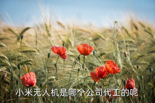 小米無人機是哪個公司代工的呢