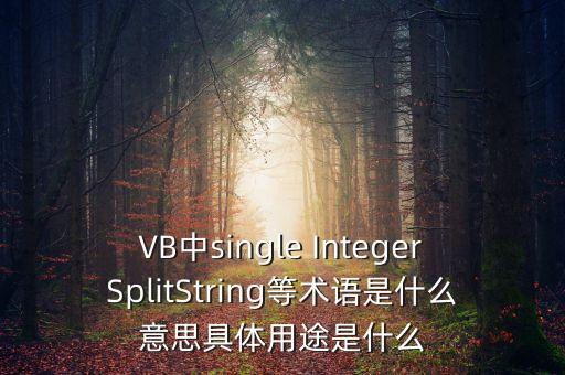 VB中single IntegerSplitString等術(shù)語是什么意思具體用途是什么