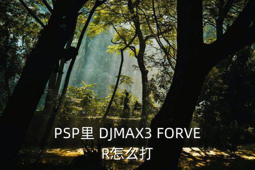 PSP里 DJMAX3 FORVER怎么打