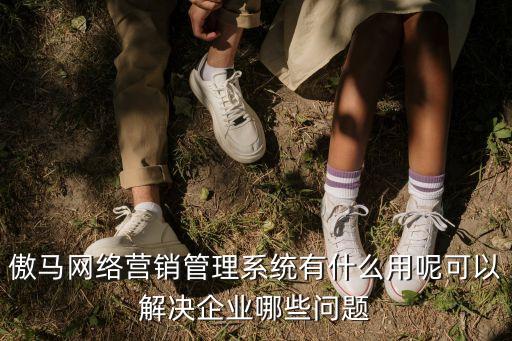 傲馬網(wǎng)絡(luò)營(yíng)銷(xiāo)管理系統(tǒng)有什么用呢可以解決企業(yè)哪些問(wèn)題