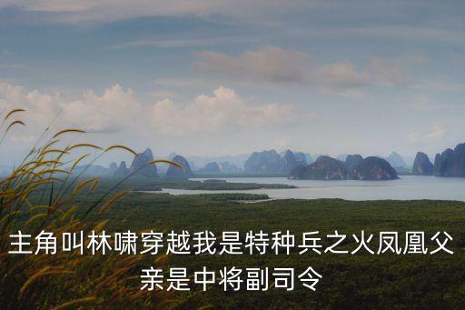 主角叫林嘯穿越我是特種兵之火鳳凰父親是中將副司令