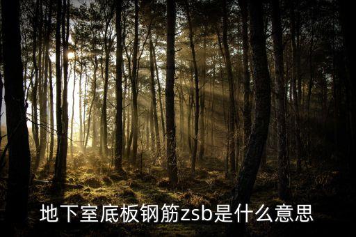 zsb，鋼筋樓板符號kzb和zsb是啥意思
