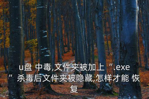 u盤中毒數(shù)據(jù)如何恢復(fù),U盤中毒如何恢復(fù)u盤里的數(shù)據(jù)